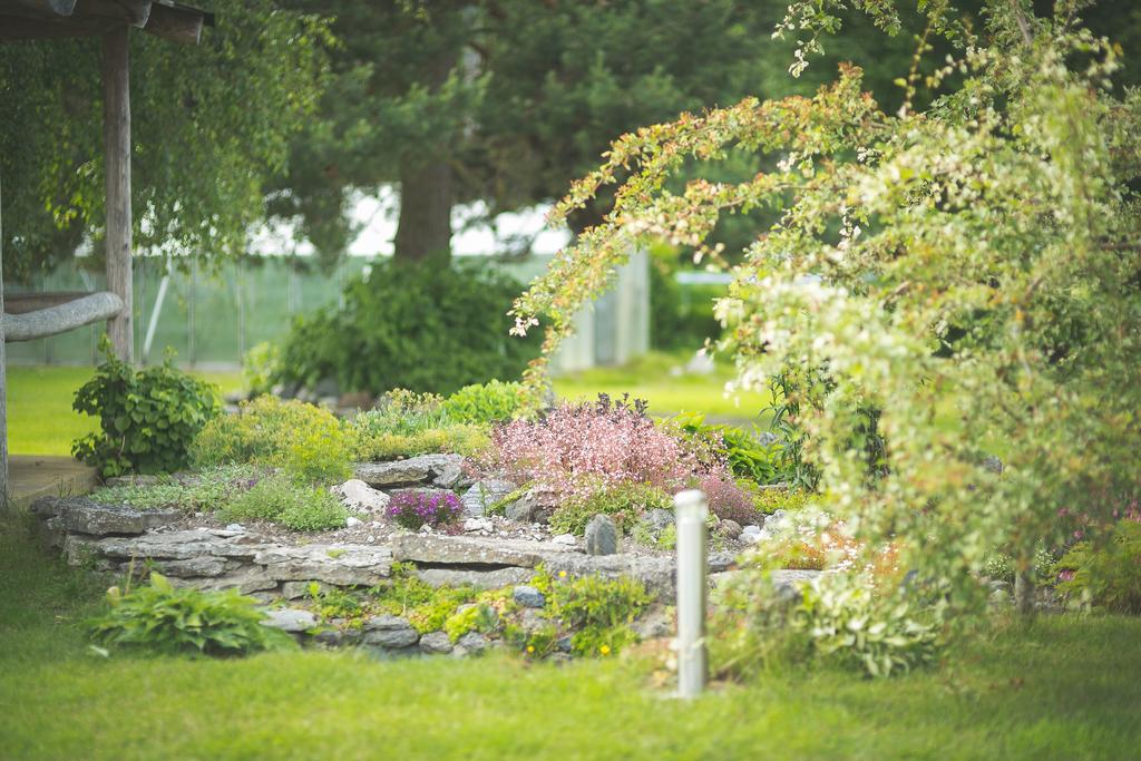 Arina Cottages Nasva Rum bild